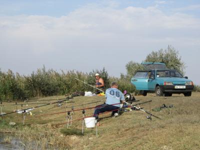 Прикрепленное изображение: IMG_0304.JPG